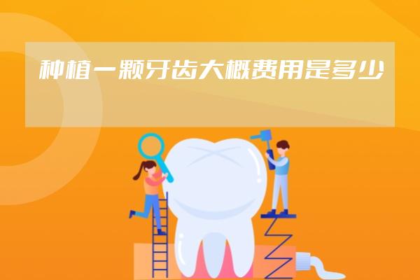 种植一颗牙齿大概费用是多少