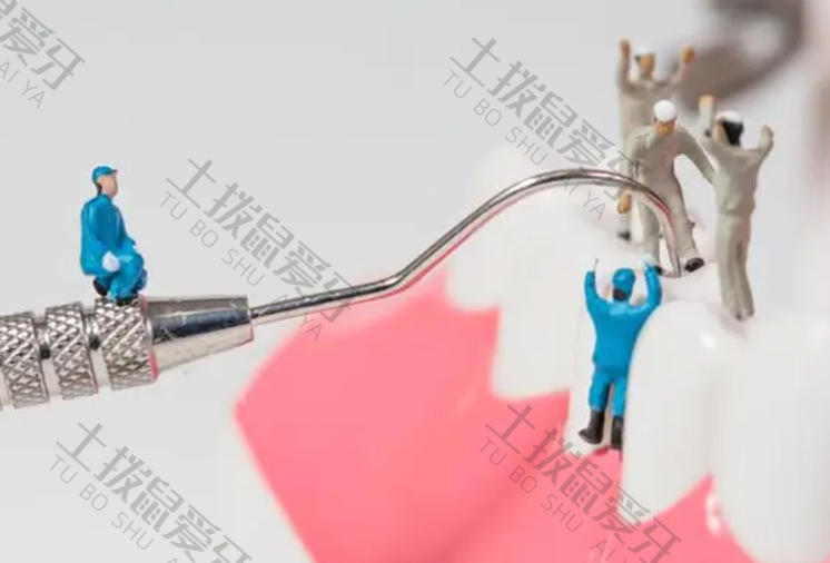 牙齿矫正价格多少钱