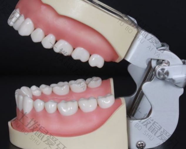 种植牙后牙龈萎缩现象很普遍吗