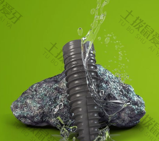 诺贝尔种植体费用