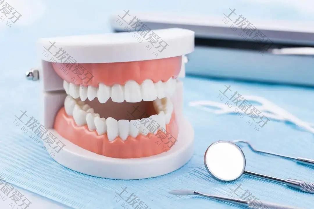 牙龈萎缩可以整牙吗