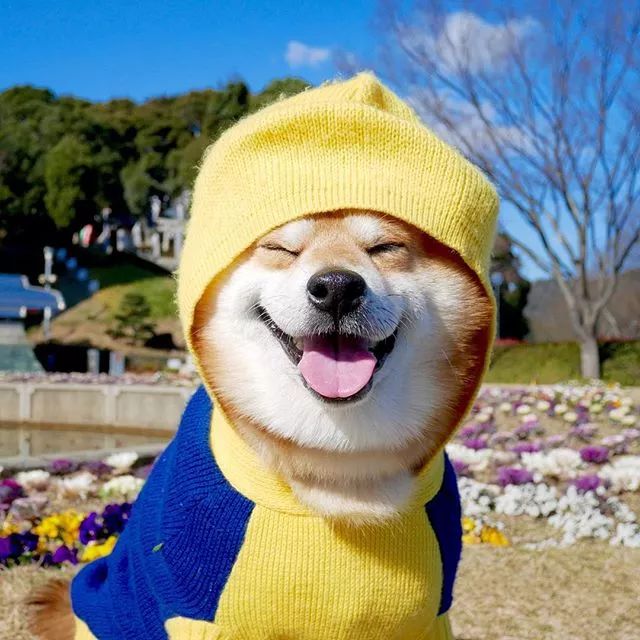 太***威