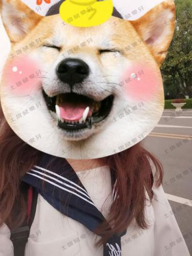 点评