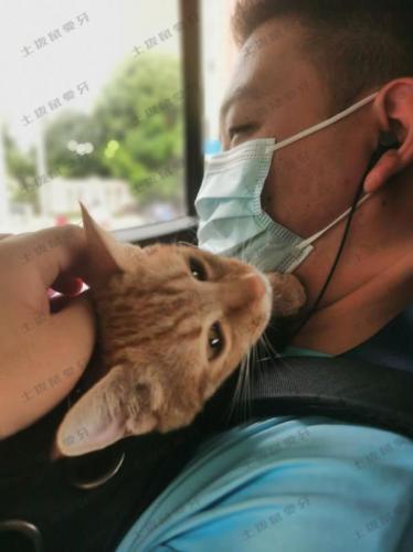 点评