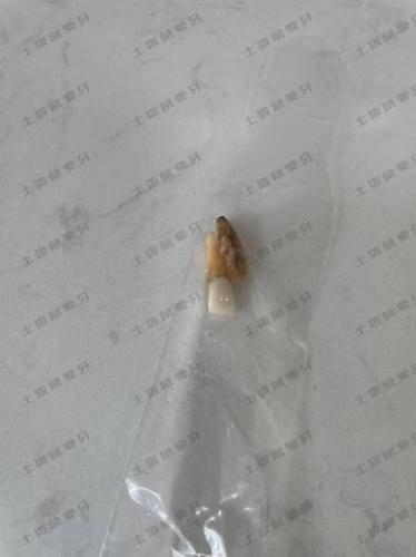 点评