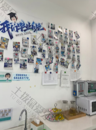 点评
