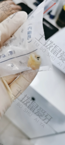 点评