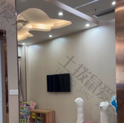 点评