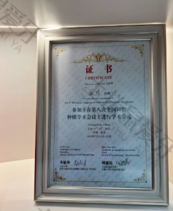 点评