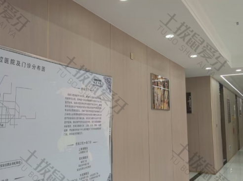 点评