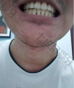 点评