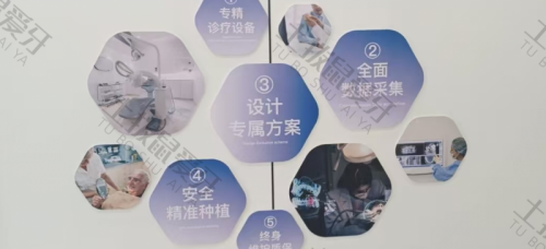 点评