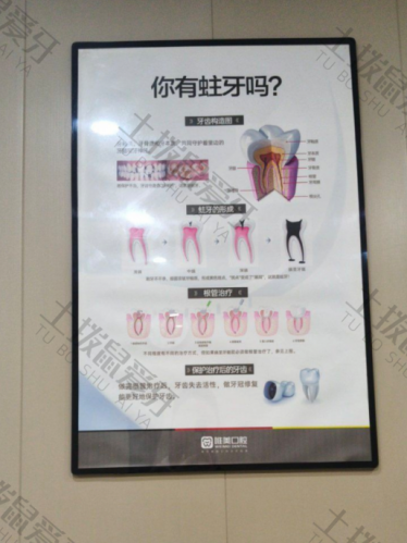 点评