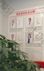 点评