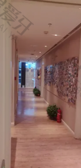 点评