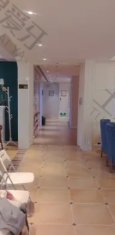 点评