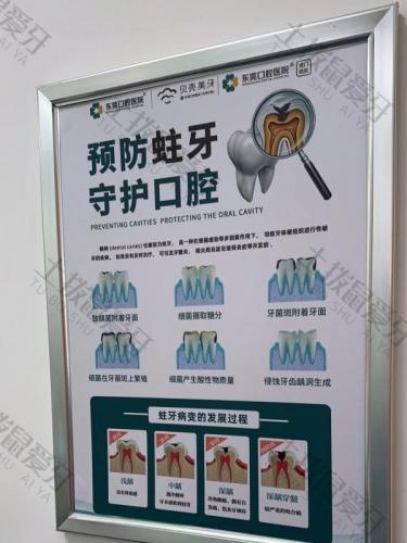 点评