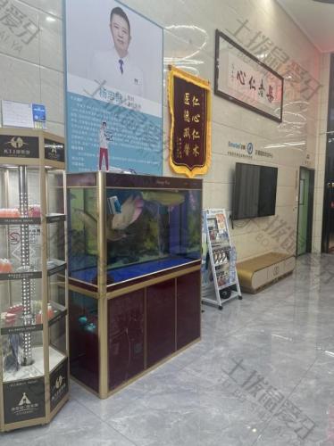 点评