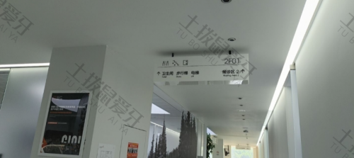 点评