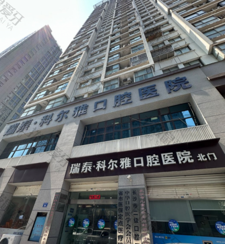 点评