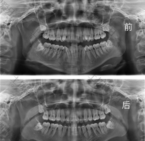 点评