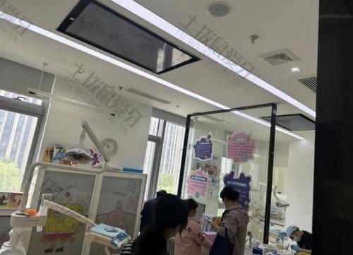 点评