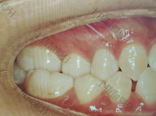 点评