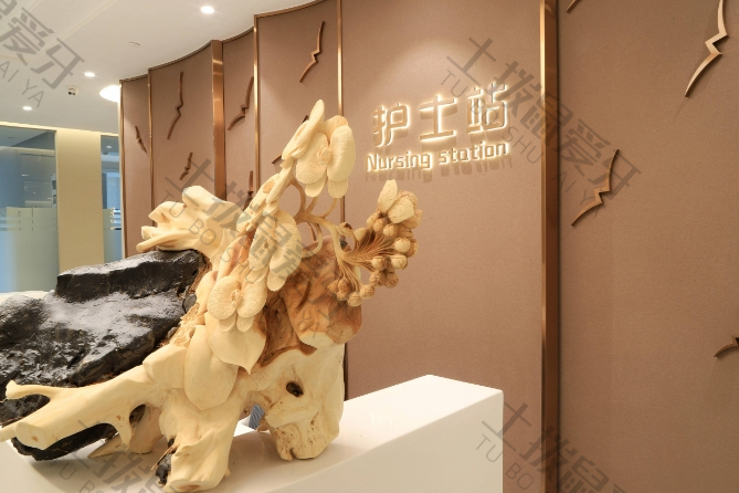 杭州老年口腔医院